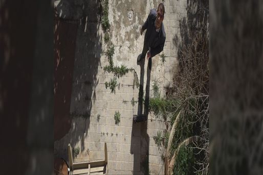 [query-result:espagetitle]