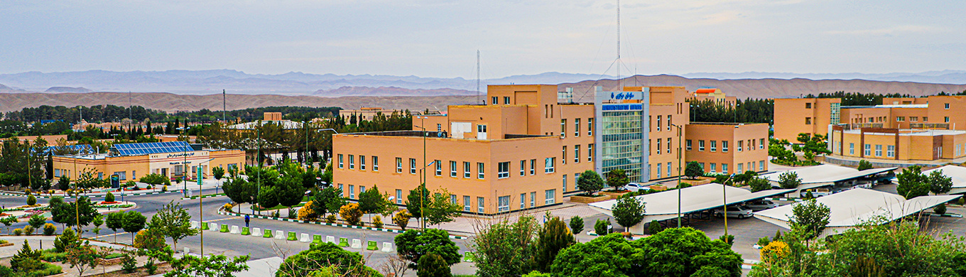 University of Birjand