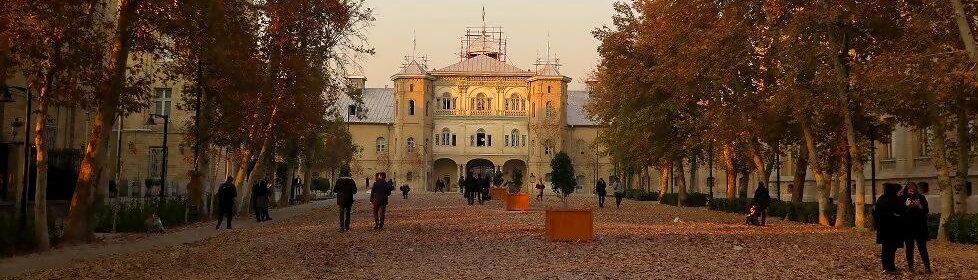 Tehran University of Art